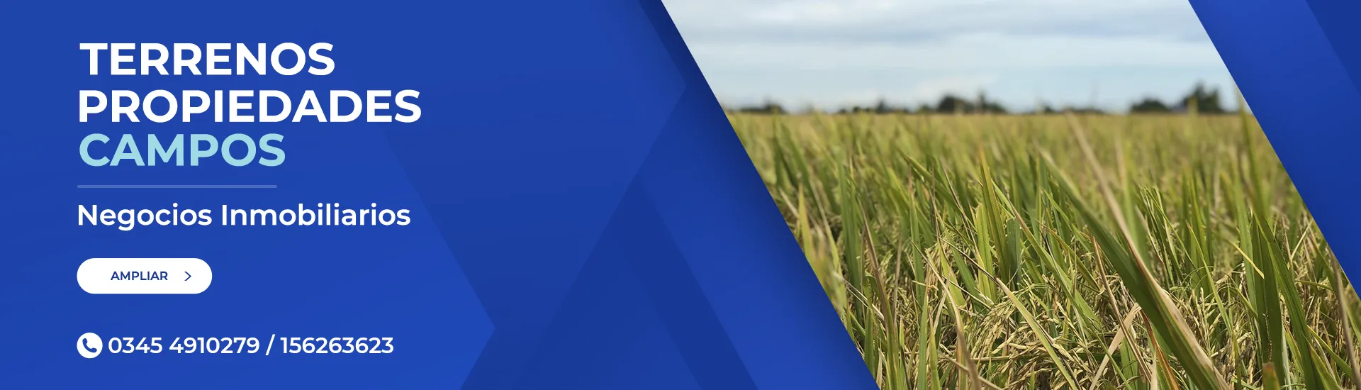 CAMPOS - Mario Continanza